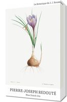 Obraz 30x50cm Design Blue Dutch Iris, Redoute Vintage do Salonu