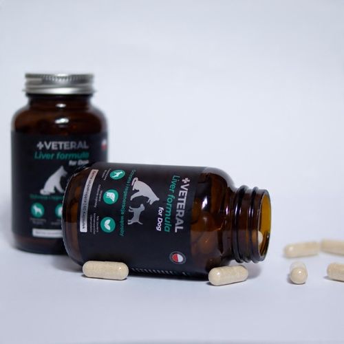 VETERAL SUPLEMENT NA WSPARCIE WĄTROBY DLA PSA suplement na wątrobę na Arena.pl