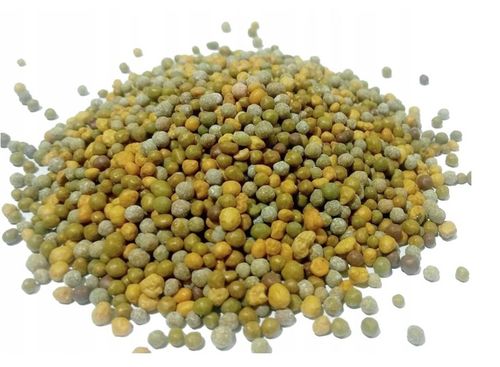 SUBSTRAL OSMOCOTE IGLAK 4,5kg NAWÓZ 2w1 TUJE na Arena.pl