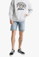 Dash Shorts Stone Cast Vintage Dr. Denim 34