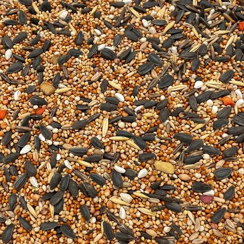 5kg Champi karma PREMIUM pokarm dla papug średnich Nimfy rozelli na Arena.pl