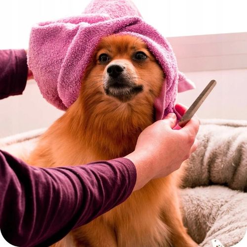 MASZYNKA DO STRZYŻENIA PSÓW PSA KOTÓW ZWIERZĄT ZESTAW 12 MOCNA BATERIA na Arena.pl