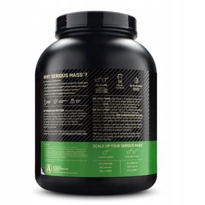 Odżywka SERIOUS MASS czekolada 2,7 kg na Arena.pl