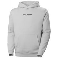 Bluza Helly Hansen Core Graphic Sweat Hoodie M 53924 825 XL