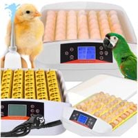 Inkubator do jaj automatyczny klujnik wylęgarka hodowla drobiu owoskop 56