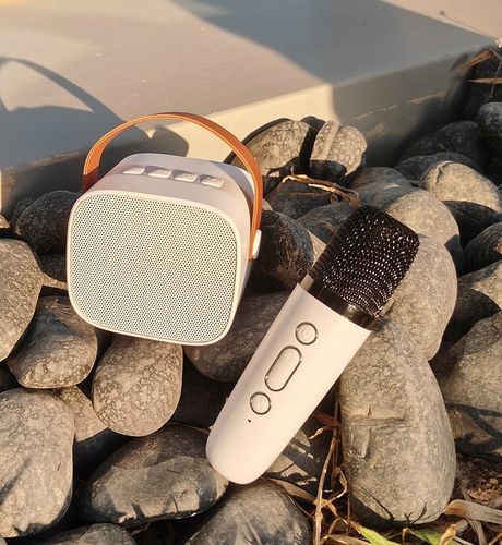 MIKROFON BEZPRZEWODOWY KARAOKE GŁOŚNIKIEM BLUETOOTH GŁOŚNIK Z KOLOROWYM LED na Arena.pl