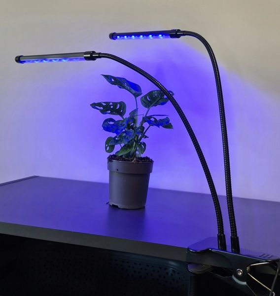 2 x Lampa do Wzrostu Roślin Uprawy 40 LED Panel Timer + Pilot zdjęcie 13