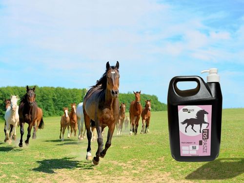 Olej Lniany dla Koni 5 litrów Naturalny Nierafinowany Tłoczony na Zimno FDS na Arena.pl