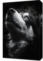 Obraz 40x60cm Portret Zwierząt do Salonu Pokoju | Husky 2 | Czarno Białe