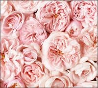 Tło do fotografii produktowej kulinarnej Flat Lay