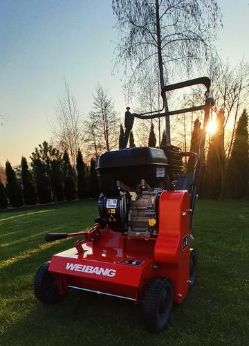 WEIBANG WB384 RB WERTYKULATOR SPALINOWY DO TRAWY PROFI PROFESJONALNY Briggs&Stratton WB384 WB 384 EWIMAX - OFICJALNY DYSTRYBUTOR - AUTORYZOWANY DEALER WEIBANG na Arena.pl