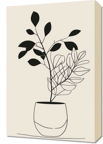 Obraz 40x60cm Prostota Doniczki zdjęcie 1