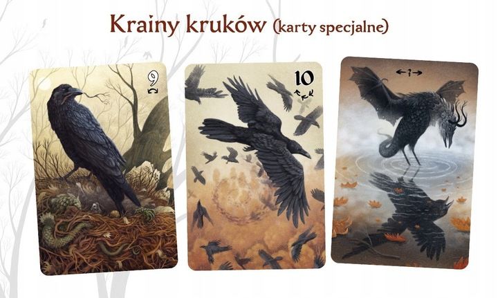 Gra karciana NASZA KSIĘGARNIA Smoki zdjęcie 10