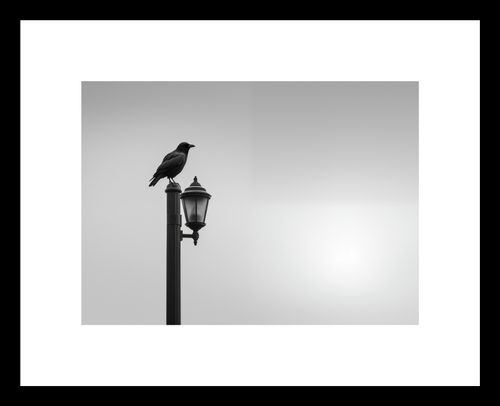 Plakat 18x13cm Samotny Postój Kruka na Arena.pl