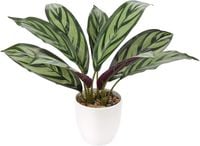 Sztuczny kwiat doniczkowy CALATHEA 33cm