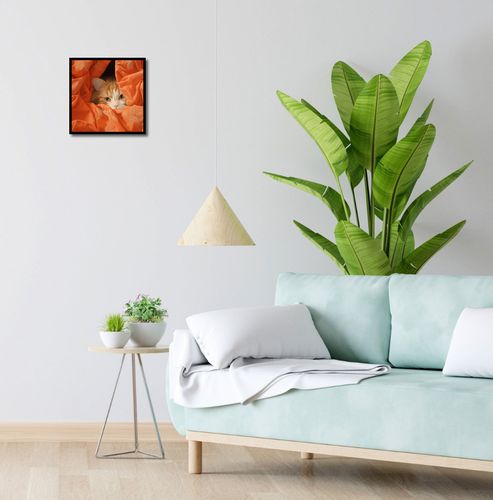 Plakat 30x30cm Ukryty Kot na Arena.pl