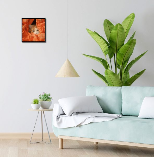 Plakat 30x30cm Ukryty Kot zdjęcie 4