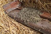 TRAWOKULKI DLA KONI Z TRAW Z KRAINY JEZIOR 15 KG