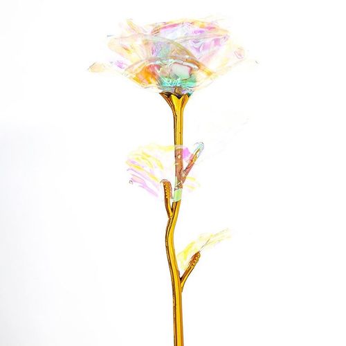 Wieczna róża tęczowa na Arena.pl