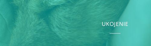 RELAXIGEN PET mini CANE e GATTO NBF Lanes 20 tabletek - SPOKÓJ Twojego KOTA na Arena.pl