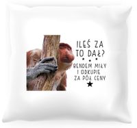 Poduszka z nosaczem -  Ileś za to dał
