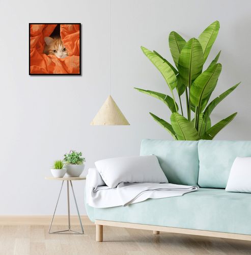 Plakat 40x40cm Ukryty Kot na Arena.pl