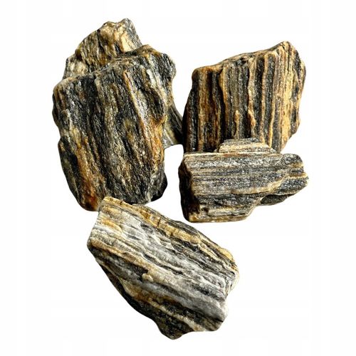 LAS W SŁOIKU SZKLE KOMPLETNY 10 elementów Z ROŚLINKĄ I KULA SŁÓJ ZESTAW na Arena.pl