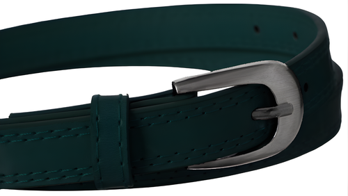 pasek pu sbb-cv-1 green 110 na Arena.pl