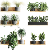 Naklejki ścienne rośliny 3D bonsai zestaw dekoracja salon