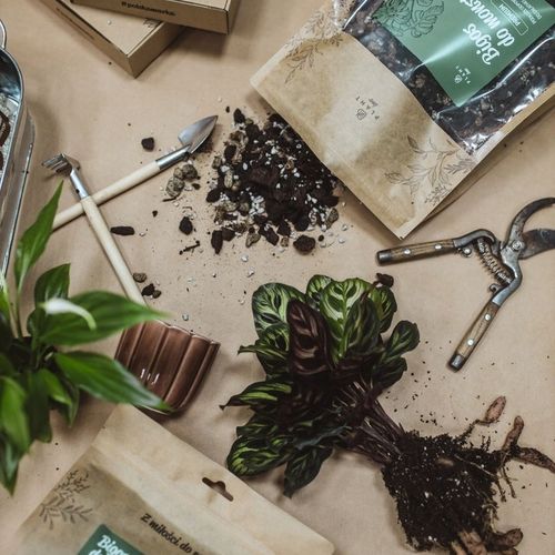 Ziemia do monstery 5l PREMIUM | Plant lover | Bigos z certyfikatem na Arena.pl