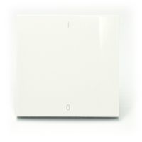 Efapel Logus90 klawisz do łącznika 2-biegunowego z symbolami 01 biały 90608 TBR