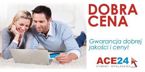 Dywan Druk KARAT 200x250cm 2 KOLORY na Arena.pl