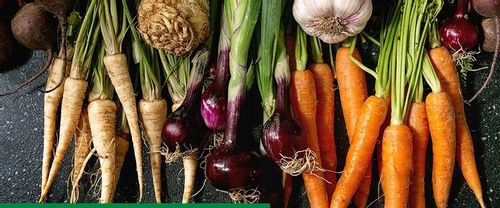 ROSAHUMUS 1kg nawóz organiczny kwasy humusowe POTAS POPRAWIA JAKOŚĆ GLEBY na Arena.pl