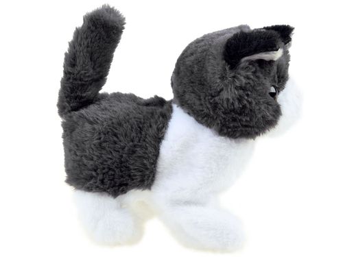 KOTEK PSOTEK INTERAKTYWNY SZUKA MAMY na Arena.pl