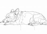 Plakat 55x40cm Śpiący Psiak