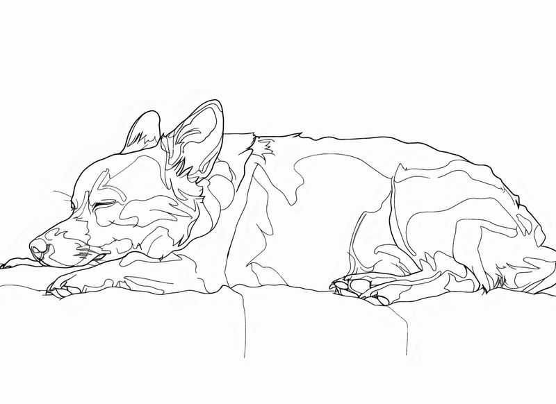 Plakat 55x40cm Śpiący Psiak zdjęcie 1