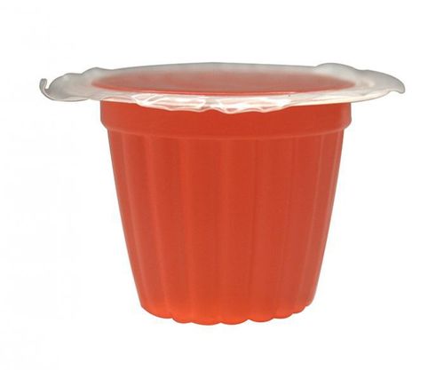 Komodo Jelly Pot Mango - pokarm mango w żelu na Arena.pl
