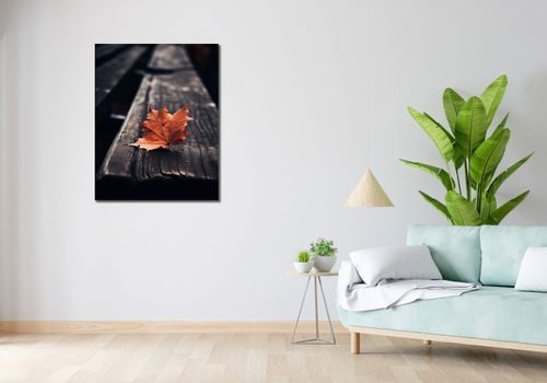 Obraz 70x90cm Pojedynczy Liść na Arena.pl
