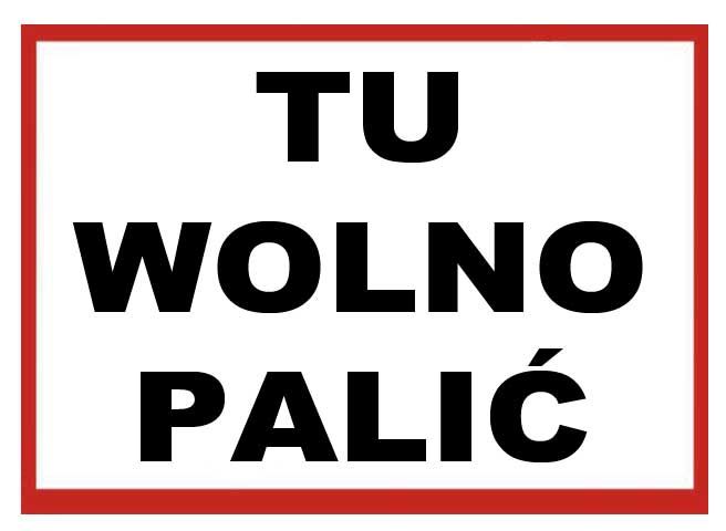 ZI-29 - znak tablica  - TU WOLNO PALIĆ 250x350 zdjęcie 1
