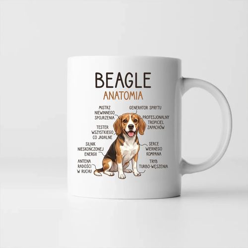 Beagle - anatomia - kubek na prezent na Arena.pl