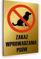 Tabliczka znak informacyjny 20x15 Złota NIE WPROWADZAĆ PSÓW Aluminiowa