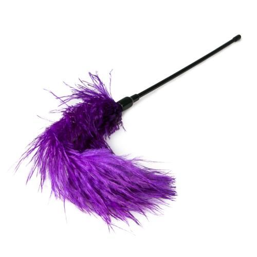 Pejcz-Purple Feather Tickler na Arena.pl