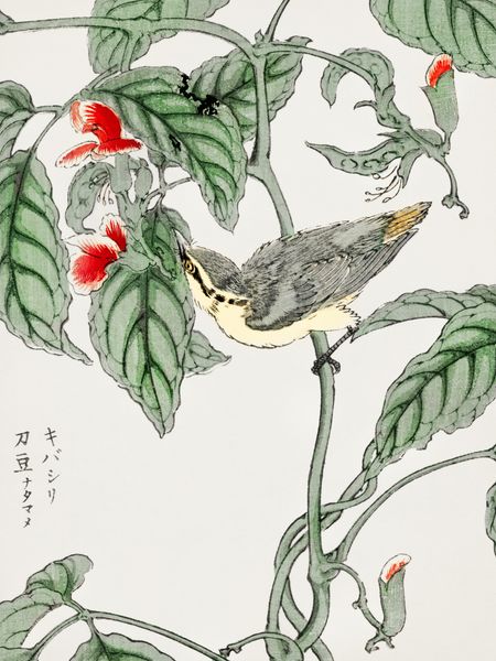 Plakat 60x80cm Tree-Creeper. Kashu Japoński Vintage do Salonu zdjęcie 1