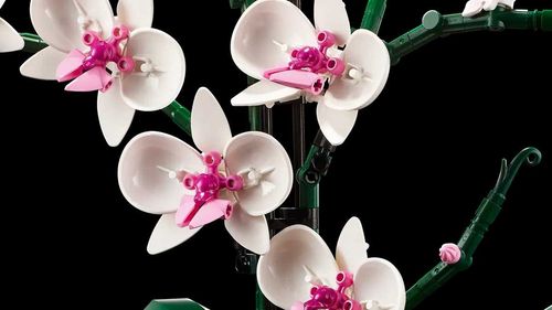 10311 - lego icons - orchidea na Arena.pl