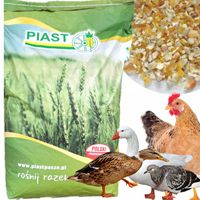 Naturalna pasza dla kur niosek gołębi kukurydza mlewnikowana Piast 25kg