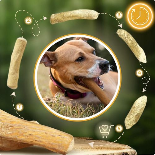 PATYK Z DRZEWA KAWOWEGO M NATURALNY KAWOWY GRYZAK DLA PSA WYTRZYMAŁY ŚREDNI na Arena.pl