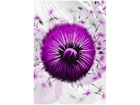 product-compare-58712967