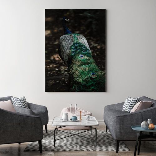 Obraz na płótnie – Canvas, pawi ogon 40x60 na Arena.pl