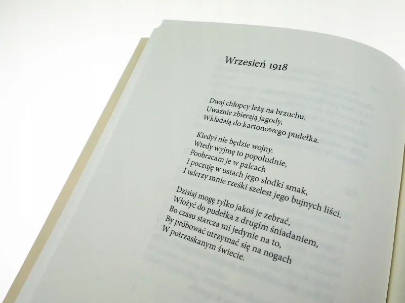 Gałązka rozmarynu zdjęcie 14