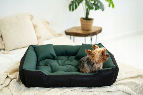 Legowisko dla Psa Kota Posłanie Kanapa Kojec Wodoodporne Zielone 75x65 cm na Arena.pl